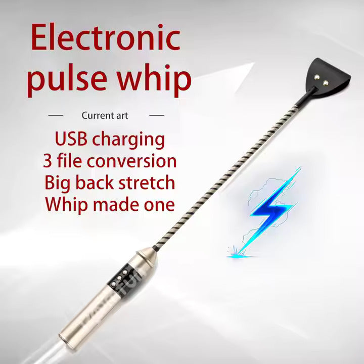 ELECTRIC FUSTA