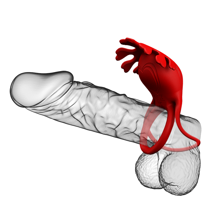 ANILLO VIBRADOR RUBEN PL